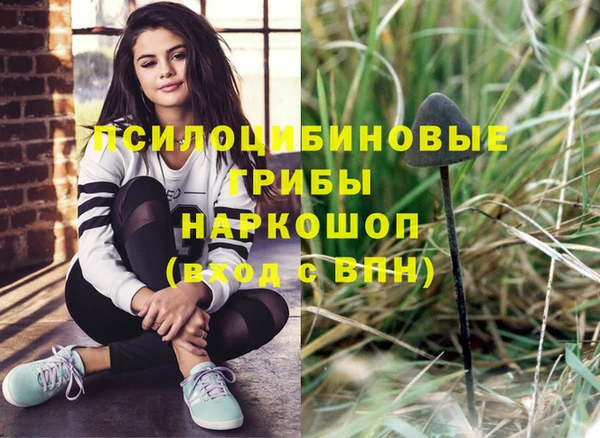 МДПВ Аркадак