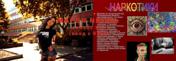 apvp Арсеньев