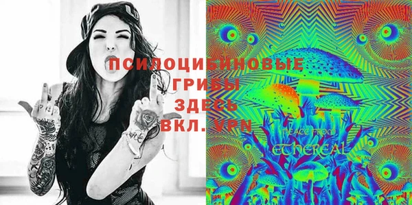 МДПВ Аркадак